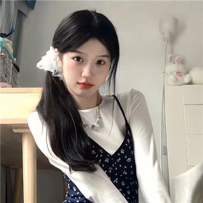 完美独裁